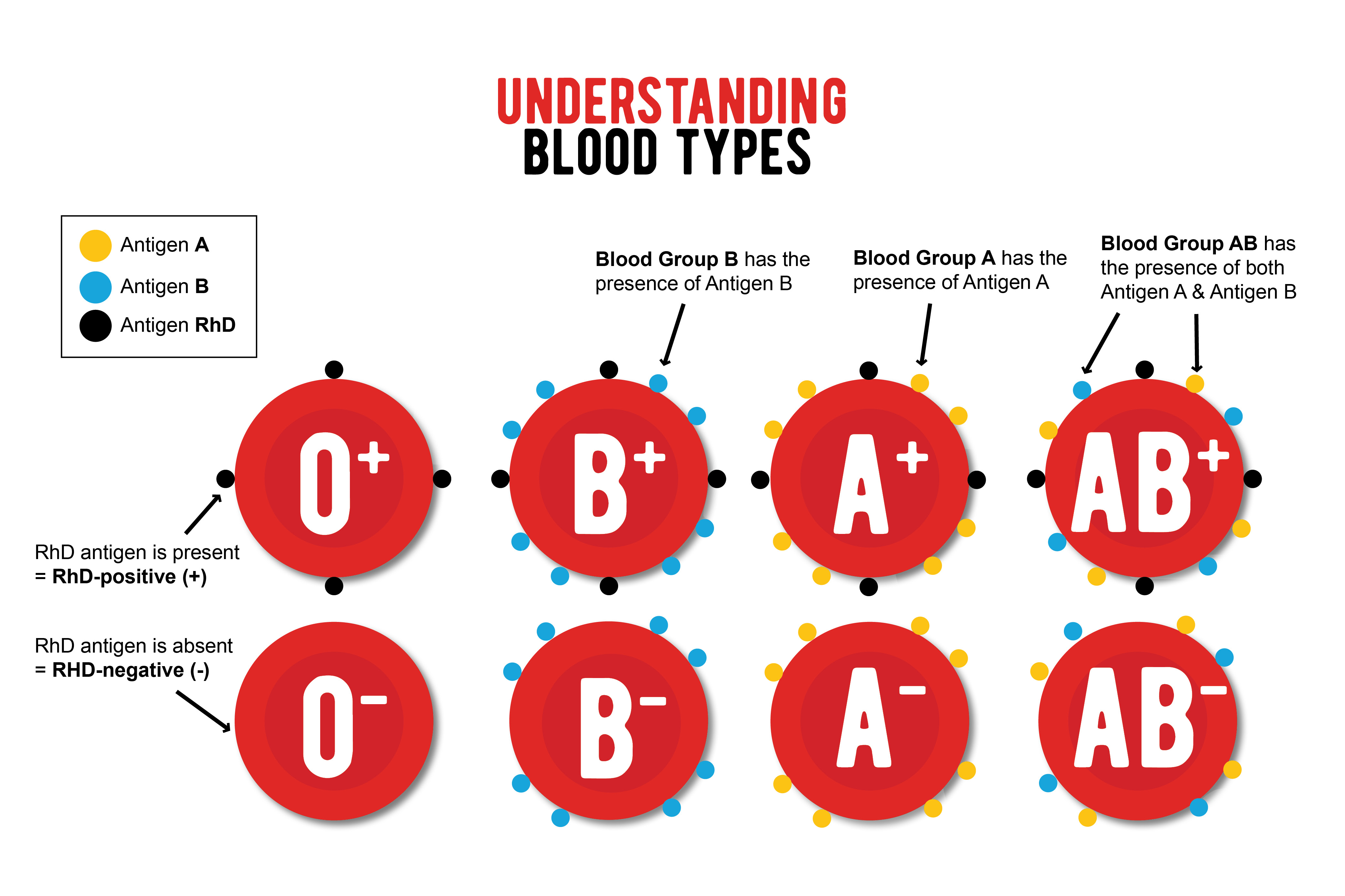 Positive And Negative Blood Type Chart