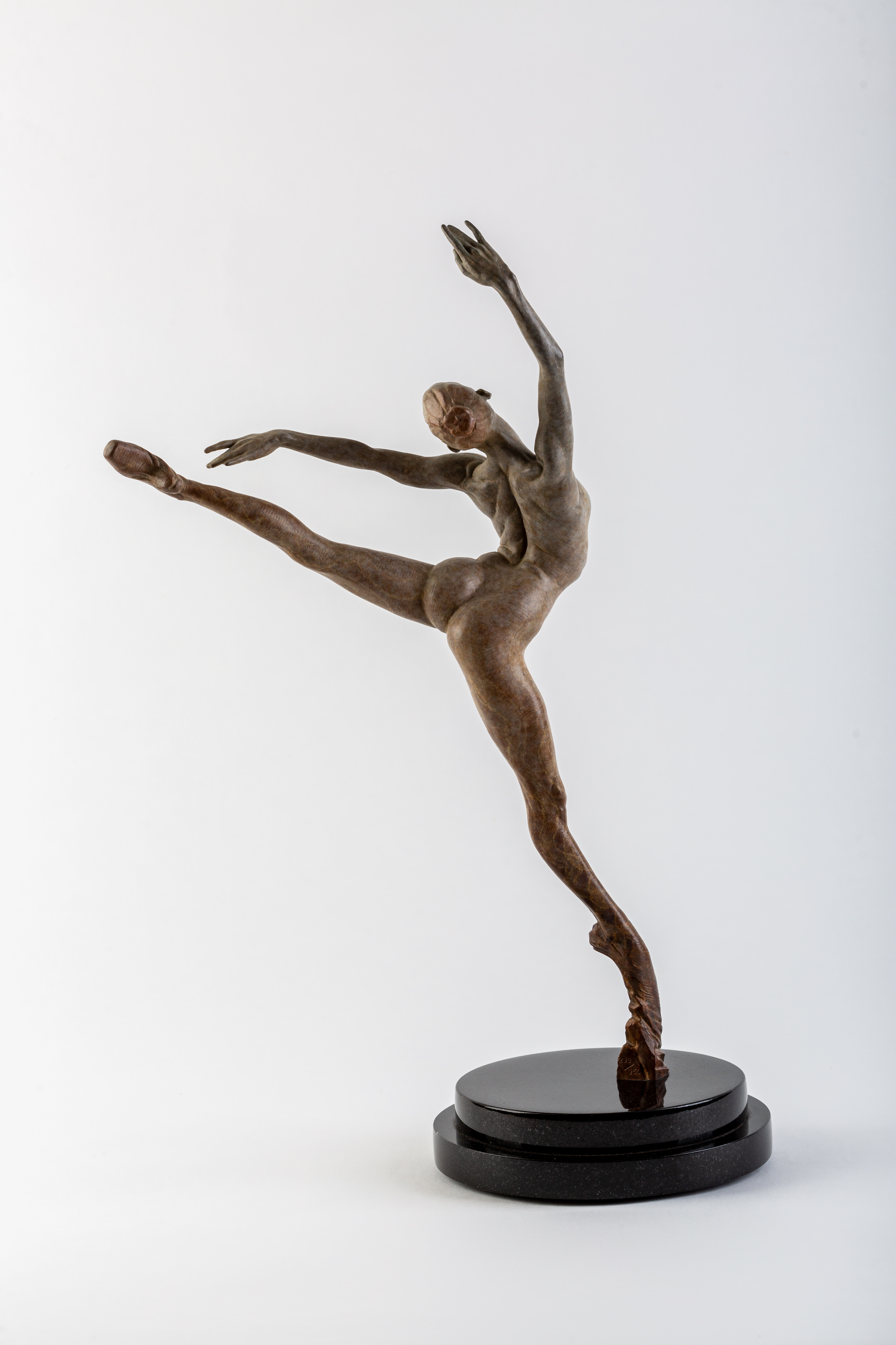 SRC Auction Royal Ballet Sissone Atelier Collection 2014 by MacDonald Richard 1