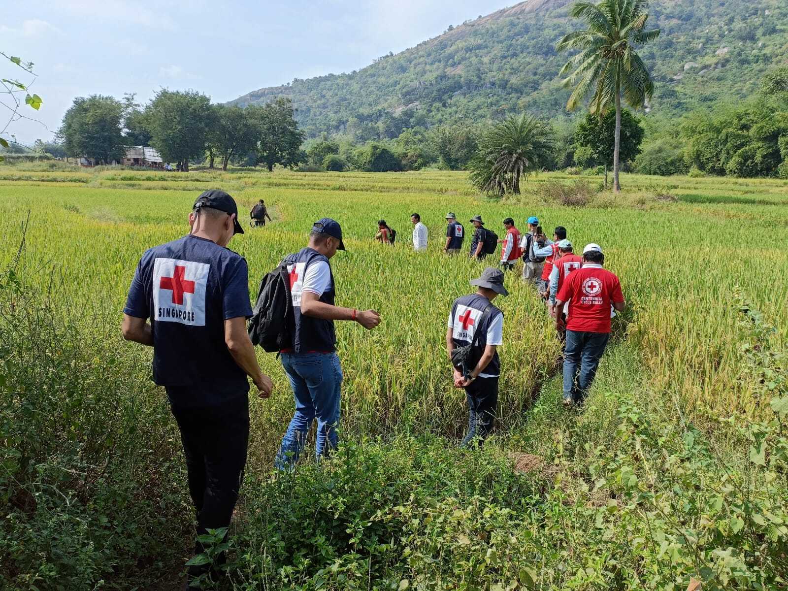 International Humanitarian Impact & Outlook 2025-2026