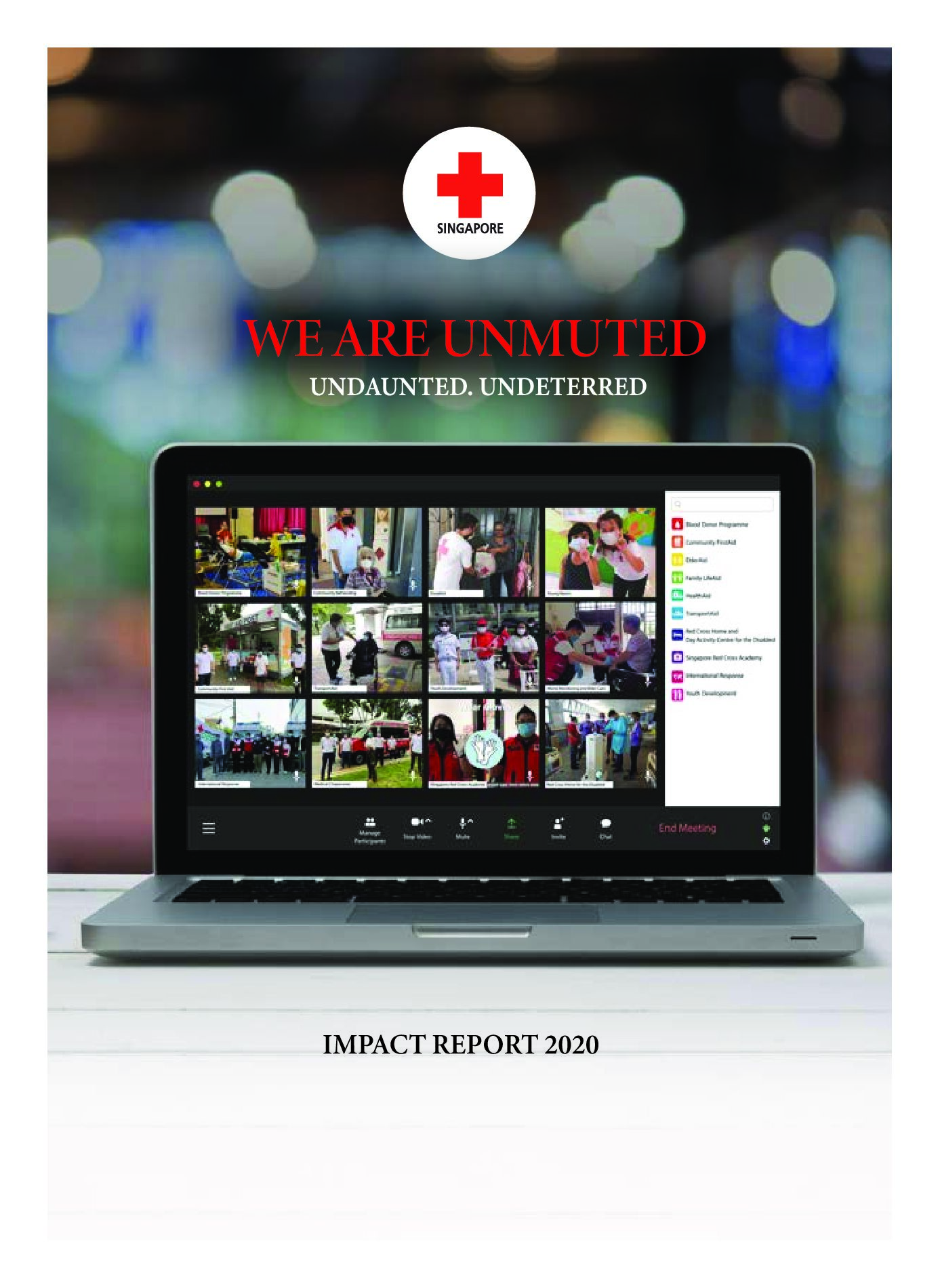 Annual Report 2020
